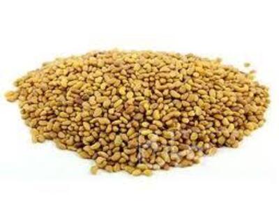 فروش بذر یونجه