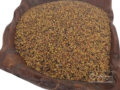 فروش بذر شبدر