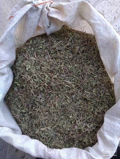 فروش کاکوتی