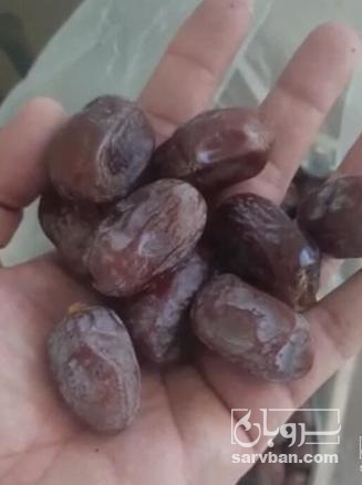 فروش لیمو شیرین