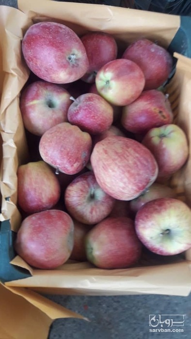 فروش سیب قرمز
