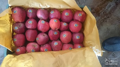 فروش سیب قرمز