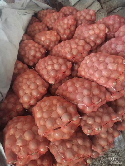 فروش پیاز زرد