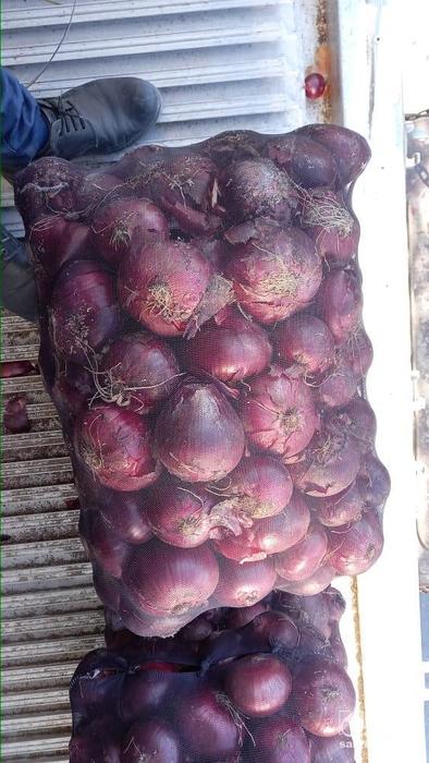 فروش پیاز قرمز بناب