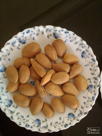 فروش بادام مامایی