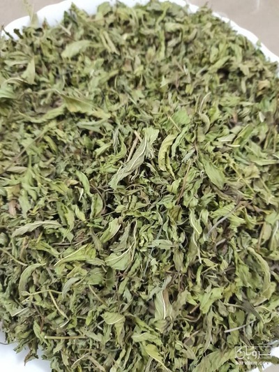 فروش نعناع خشک