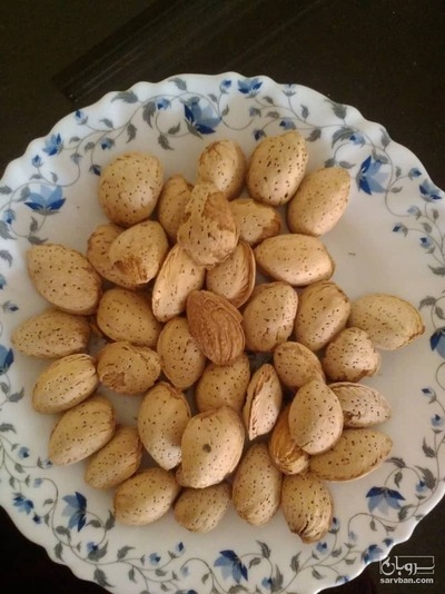 فروش بادام منقا