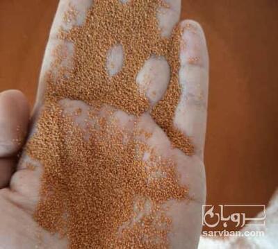 فروش خاکشیر