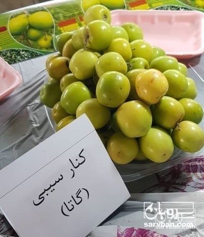 فروش کنار گلابی و تایلندی