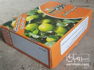 فروش کنار پیوندی تایلندی