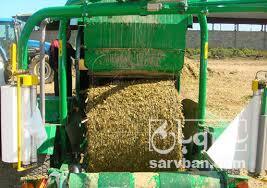 فروش علوفه ذرت