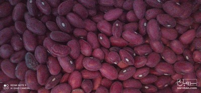 فروش لوبیا قرمز