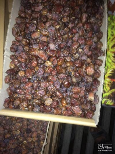 فروش خرما آلویی