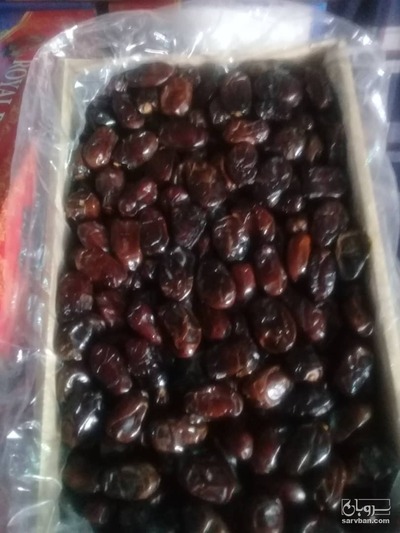 فروش خرما کلیته