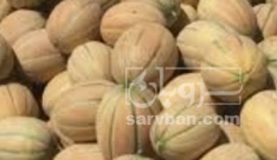 فروش طالبی جانا