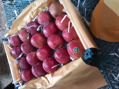 فروش سیب قرمز