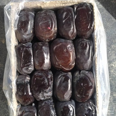 فروش خرمای مضافتی