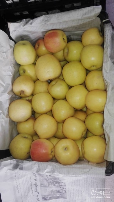 فروش سیب