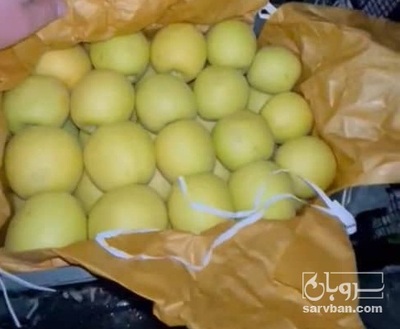 فروش سیب