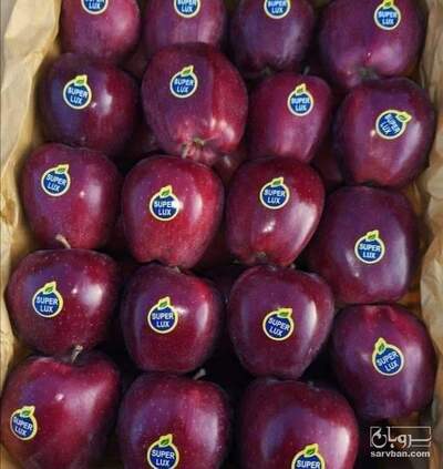فروش سیب