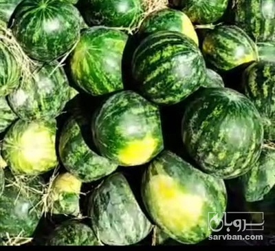 فروش هندوانه