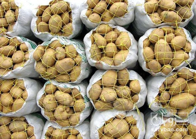 فروش سیب زمینی