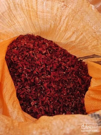 فروش چای ترش