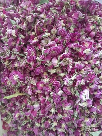 فروش گل محمدی باز لاله زار