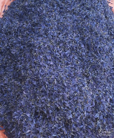 فروش گل گاو زبان