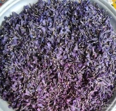 فروش گاو زبان