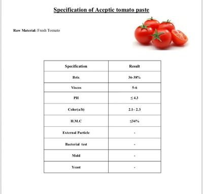 فروش رب گوجه فرنگی