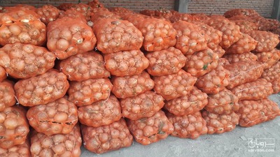 فروش پیاز