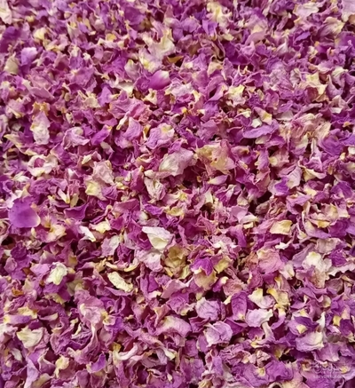 فروش گل محمدی