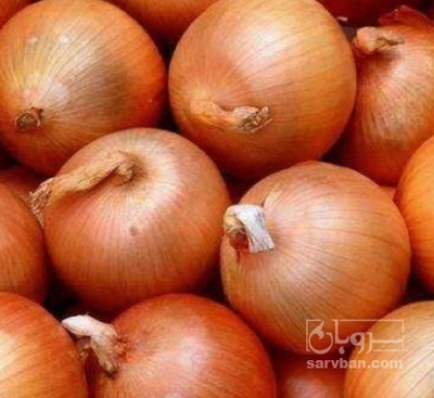 فروش پیاز زرد