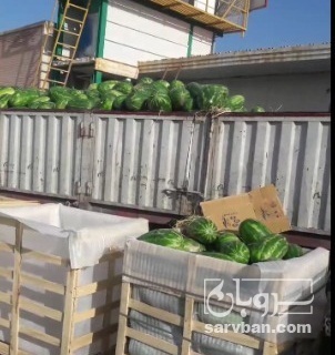 فروش هندوانه