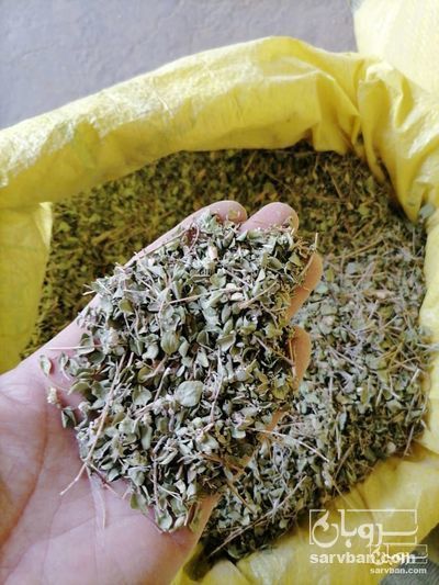 فروش پودر آویشن