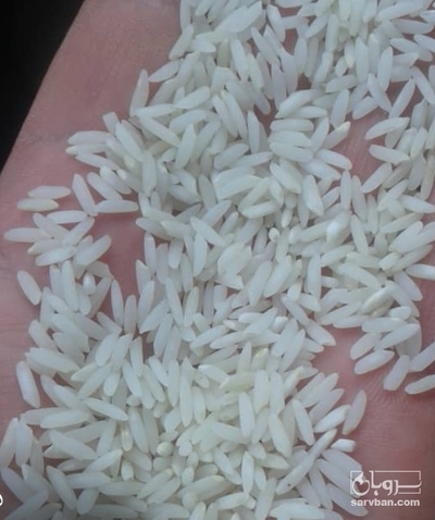 فروش برنج