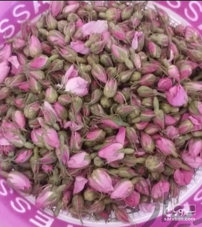 فروش گل محمدی