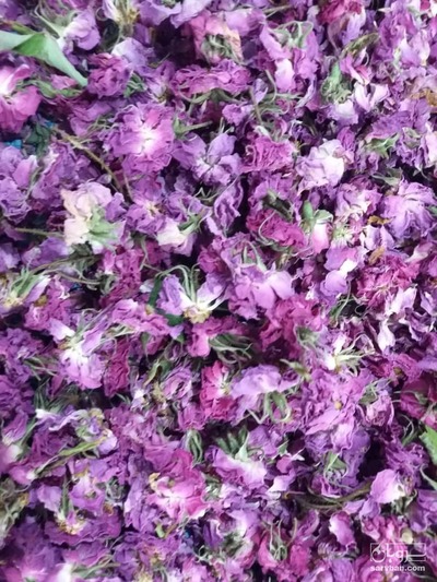 فروش گل محمدی