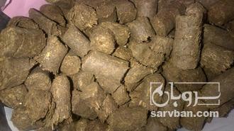 فروش کاه  نیشکر فشنگی