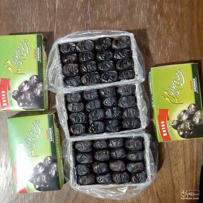 فروش خرما مضافتی