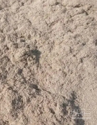 فروش کاه نیشکر دام سبک