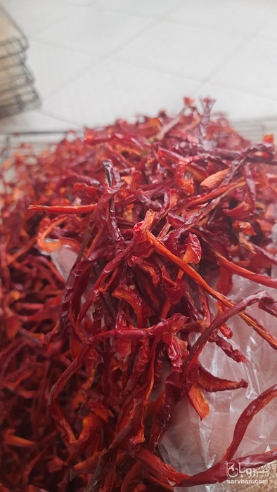 فروش  پاپریکا