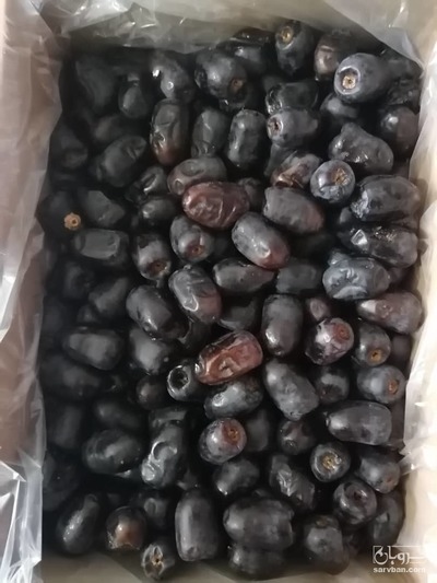 فروش خرما مضافتی