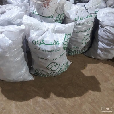 فروش سیب زمینی