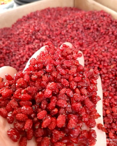 فروش زرشک ( ادویه)