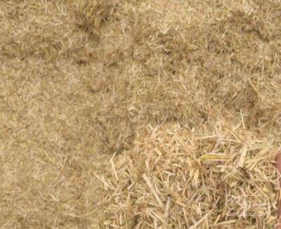 فروش کاه و کلش گندم فله