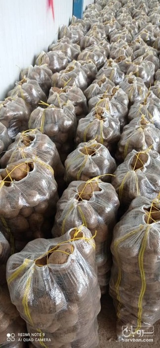 فروش سیب زمینی