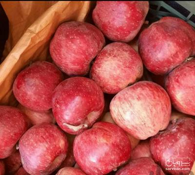 فروش سیب