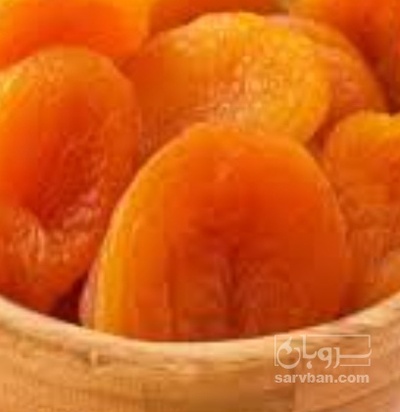 فروش برگه قیسی